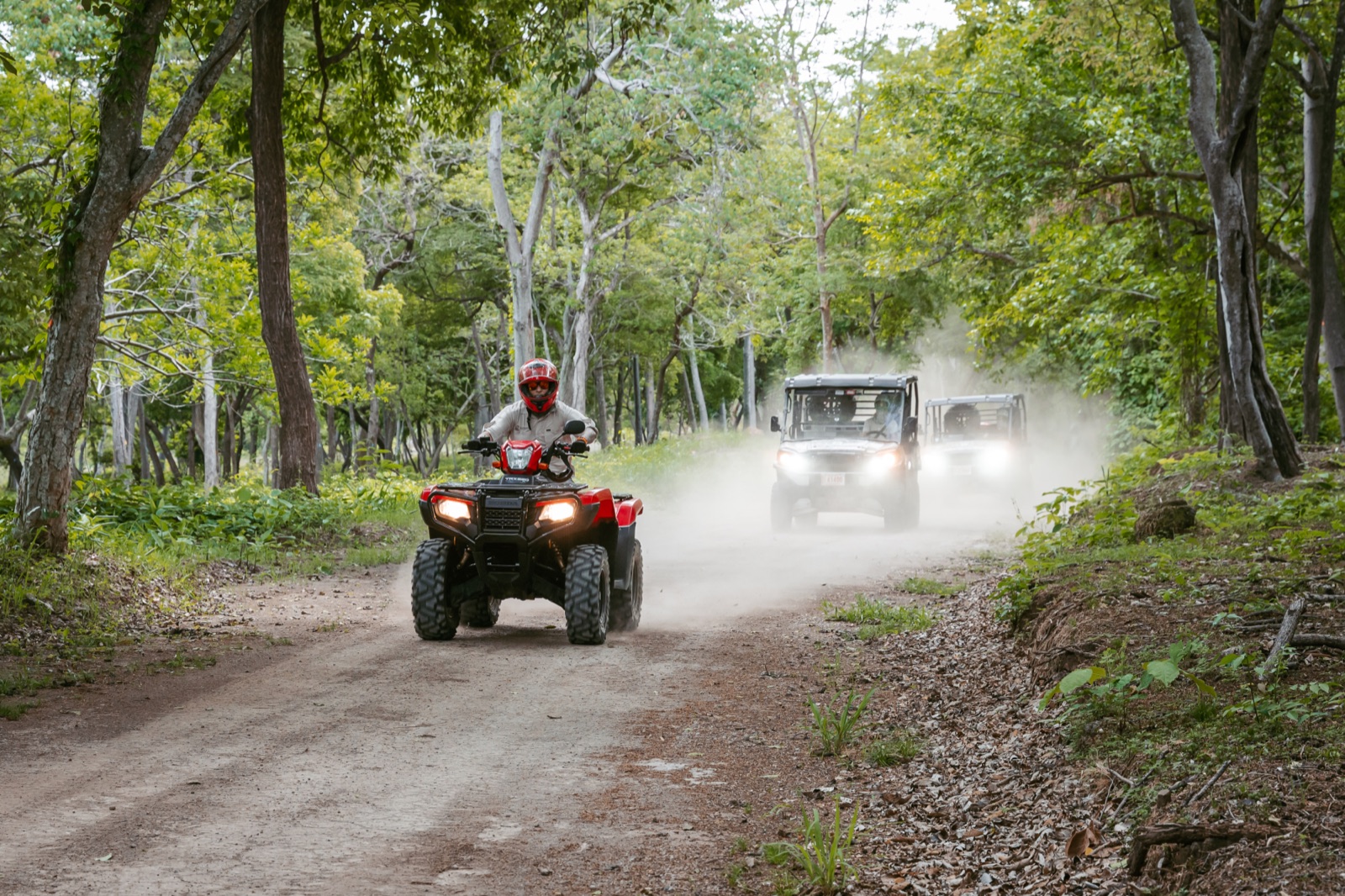 ATVs riding a forest trail in the Palmares Preserve